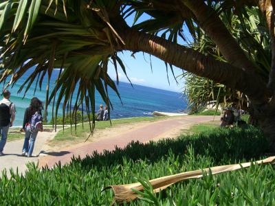 Bondi Beach